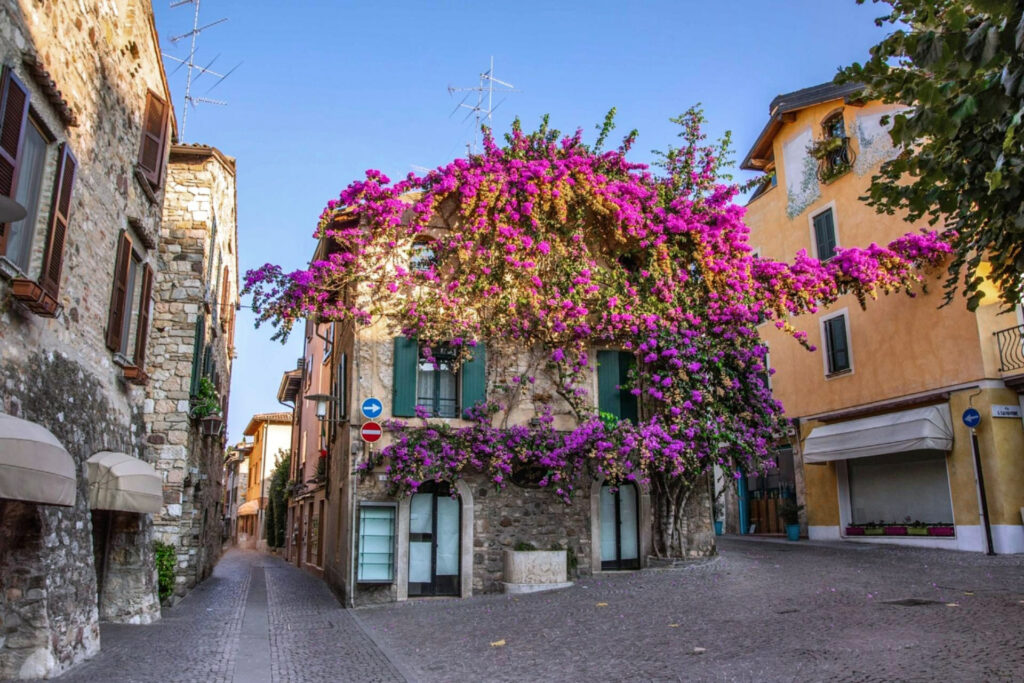 Visita guidata - Sirmione, la Rocca e le Grotte di Catullo Fotografia di un vicolo di Sirmione con la bellisima casa in pietra impreziosita da una florida bouganville