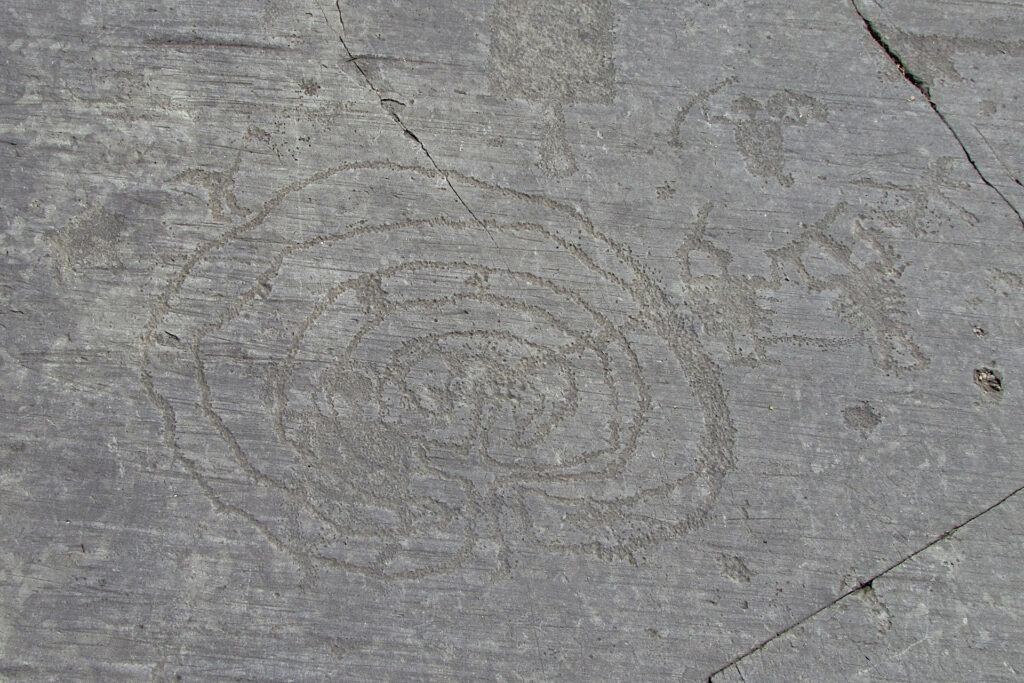 Fotografia del labirinto inciso sulla roccia 1 del Parco di Naquane