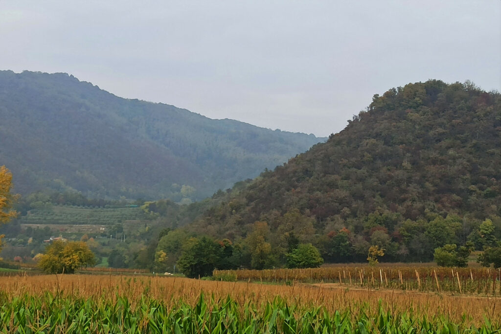 Fotografia con colori dell'autunno in Franciacorta