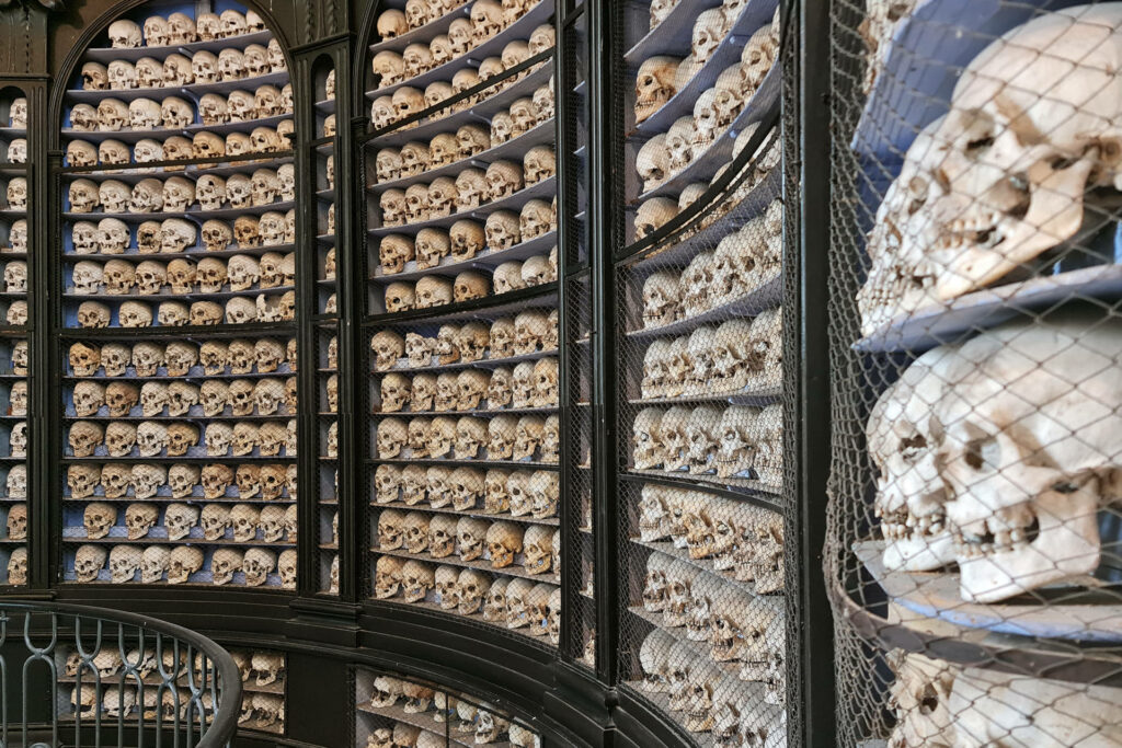 Visita guidata - San Martino della Battaglia Ossario di San Martino della Battaglia